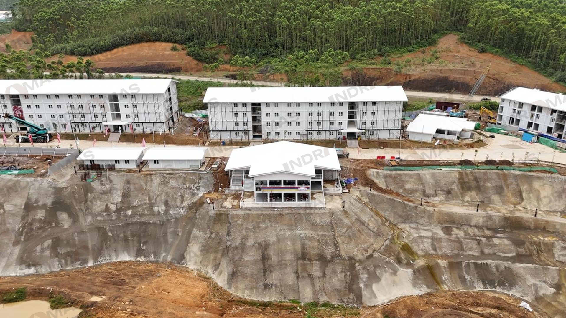 Concrete Revegetation