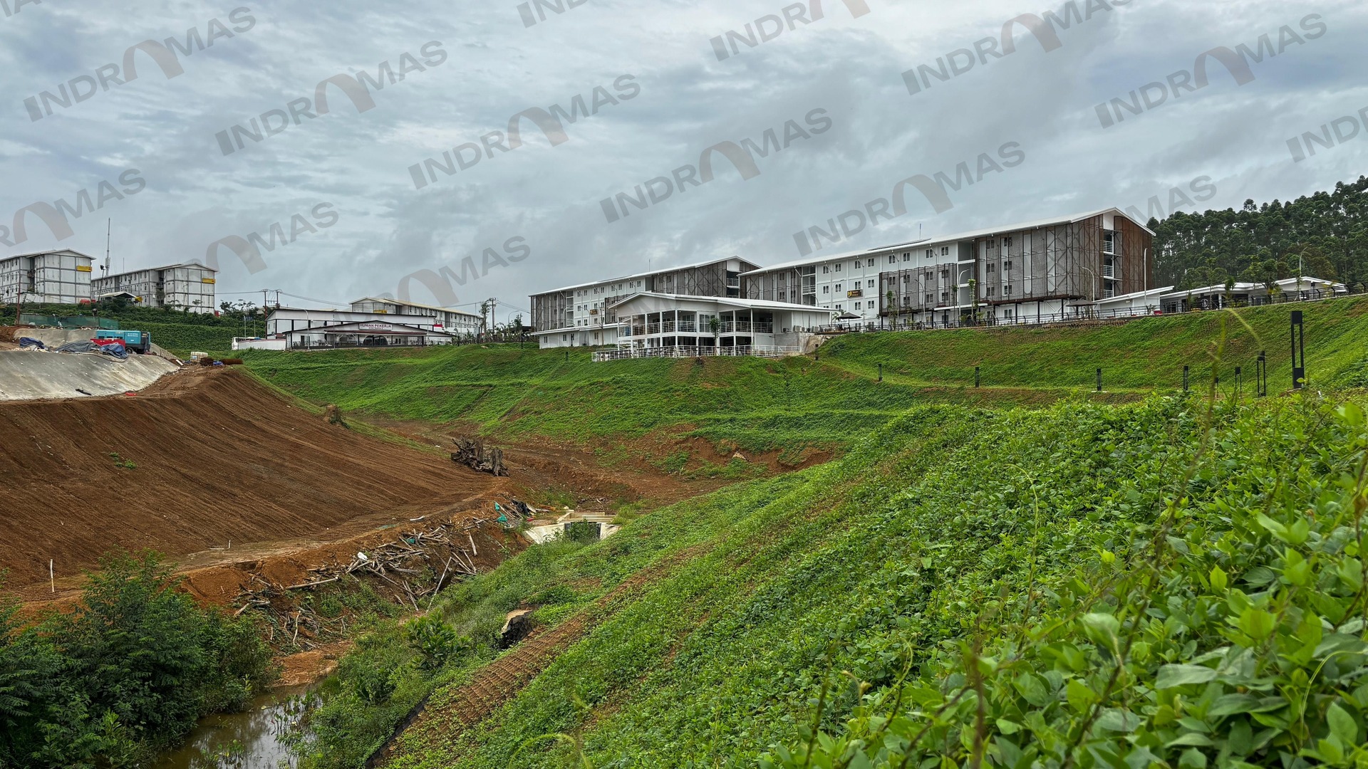 Concrete Revegetation