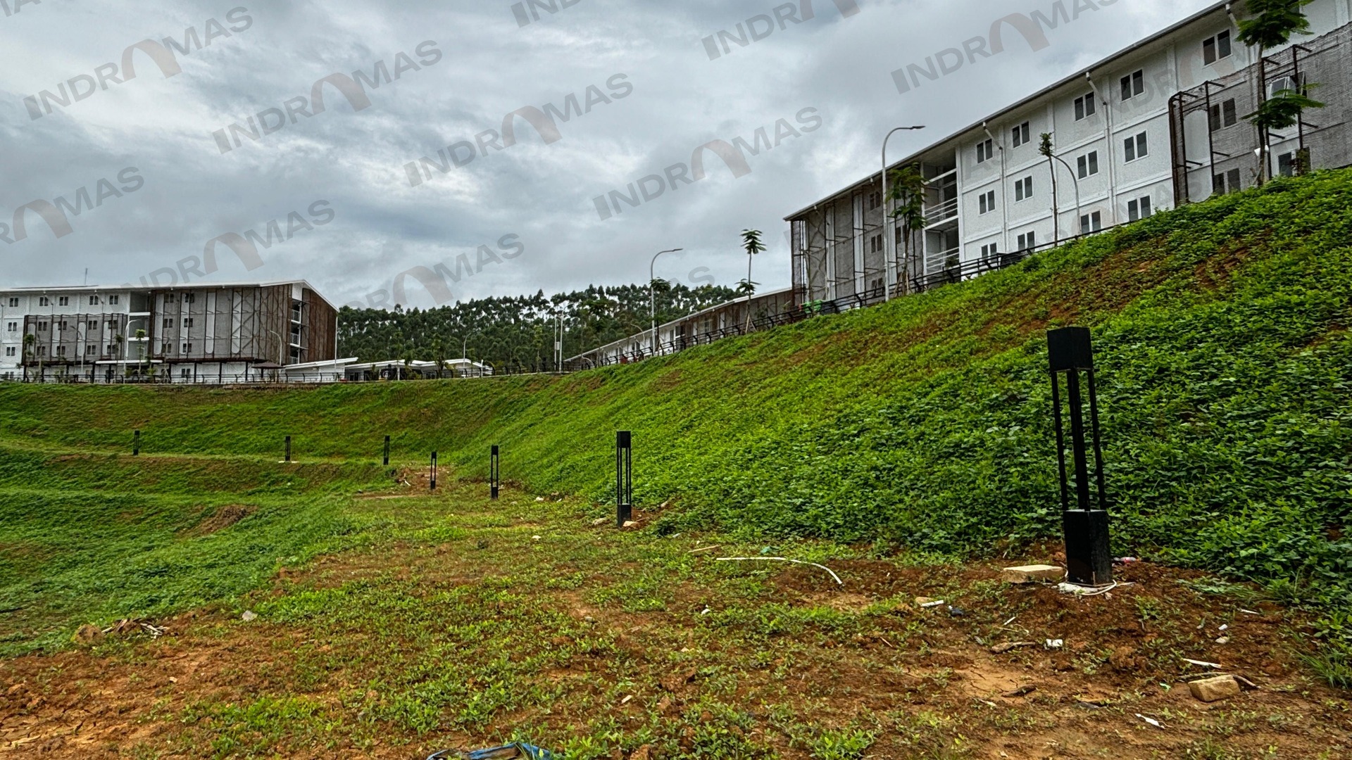 Concrete Revegetation